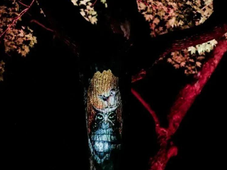 广州灯光展完美落幕！骄阳文旅“夜游分享”惊艳全场！