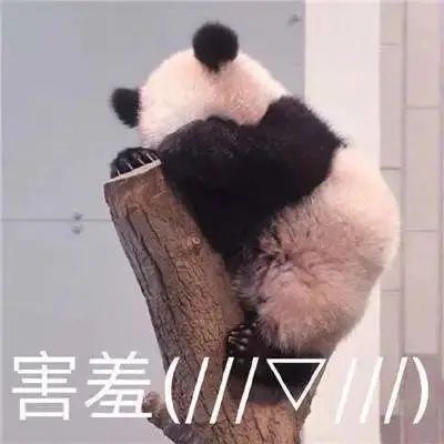 广州灯光展完美落幕！骄阳文旅“夜游分享”惊艳全场！