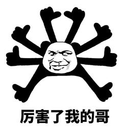 广州灯光展完美落幕！骄阳文旅“夜游分享”惊艳全场！