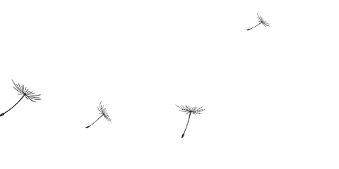 日本首座数字旅游景点梦幻乐园:光之幻想城 日本首座数字旅游景点梦幻乐园:光之幻想城