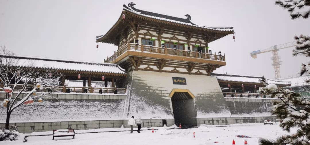 单日游客量从1万到10万,揭秘景区蝶变背后的光显力量 单日游客量从1万到10万,揭秘景区蝶变背后的光显力量